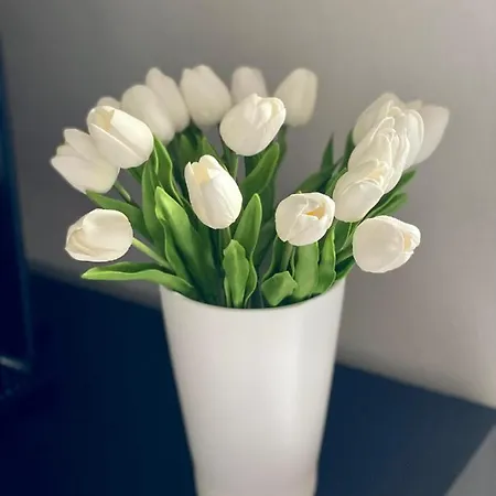 Ferienhaus Casa Vistabella - Monferratohome Frassinello